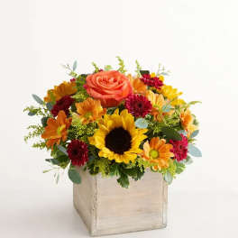 Bright mixed bouquet in a square wooden box with a sunflower and orange rose