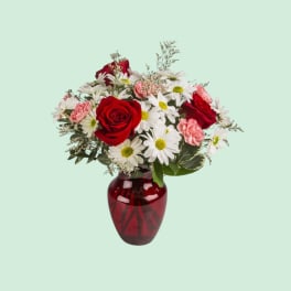 Red roses and white daisies arranged in a red glass vase