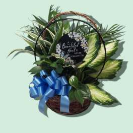 A Beautiful Soul Dish Garden