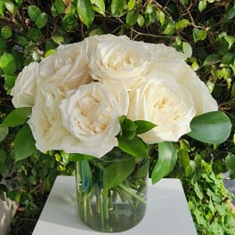 Blissful Blooms