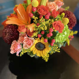 Citrus Splash