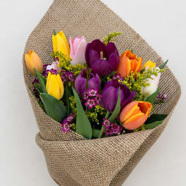 Bouquet of multicolored tulips wrapped in burlap