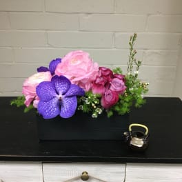 Ranunculus Dreaming