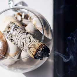 Sage - Lg- 8 inches