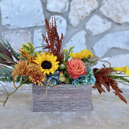 Everlasting Harvest