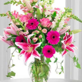 Pink Celebration