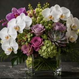 Orchid Lux Bouquet