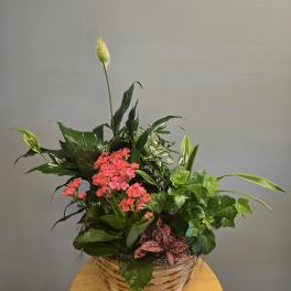 Basket arrangement with pink flowers and white peace lilies