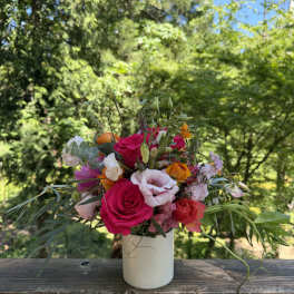 Ilia