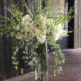 Tall white floral arrangement in a clear glass vase with trailing ivy