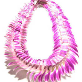 Butterfly Orchid Lei