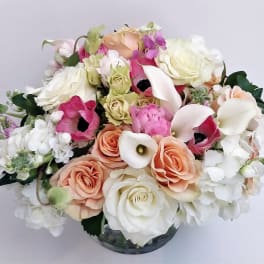 Adore
