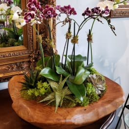 Potted orchids and succulents arranged in a shallow wooden bowl