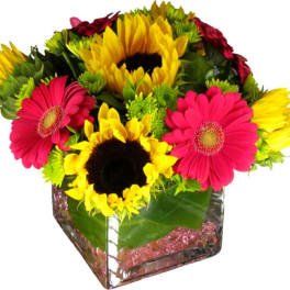 Bright mixed bouquet with sunflowers and pink gerbera daisies in a glass vase