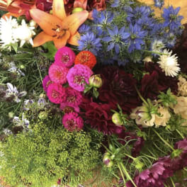Mixed bouquet with orange lily, blue flowers, and pink blooms