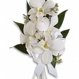 White orchid bouquet with ribbon and dark green leaves