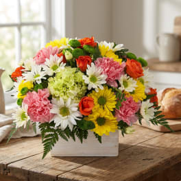 Mixed bouquet of daisies, carnations, roses, and hydrangea in a white box