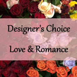 Designer’s Choice Love & Romance text over a background of roses