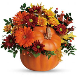 Harvest Pumpkin