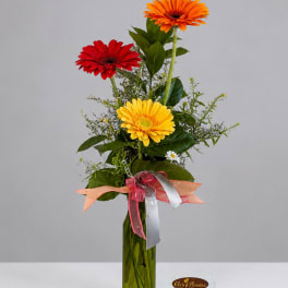 Three gerbera daisies in a tall glass vase with ribbon