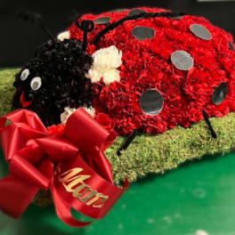 Lady Bug Tribute