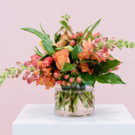 Coral Crush