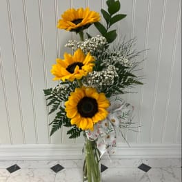 Tall sunflower arrangement in a clear glass vase with a patterned ribbon