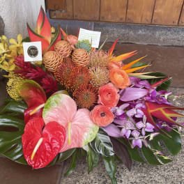 Tropical bouquet with anthuriums, orchids, and orange blooms