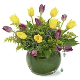 Touch of Tulips