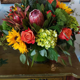 Autumn Romance