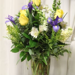 Iris Celebration