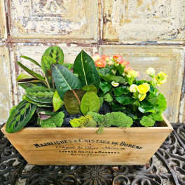 Mixed potted plants and yellow-orange blooms in a wooden box planter