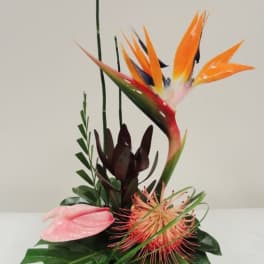 Tropical floral arrangement with orange bird of paradise and pink anthurium