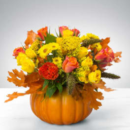 Pumpkin Power by BloomNation™
