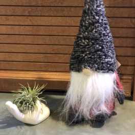 Small air plant in a white hand-shaped planter beside a knitted gnome figurine