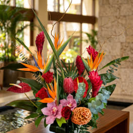 Tropical arrangement with red, orange, and pink flowers in a low container