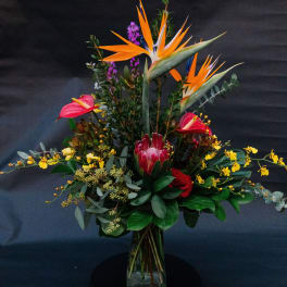 Tropical bouquet with orange bird-of-paradise and pink anthuriums in a glass vase