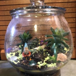 Succulent terrarium in a round glass jar with a small gnome figurine