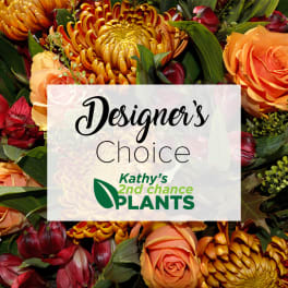 Designer's Choice Fall