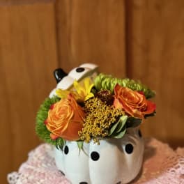 Fall Harvest