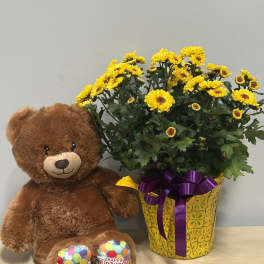 Daisy Plant & Birthday Bear