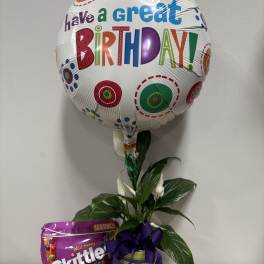 Birthday balloon with a potted plant and candy bag