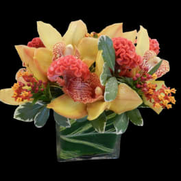 Yellow orchids and pink cockscomb in a square glass vase