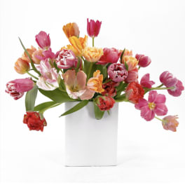 Colorful tulips arranged in a white rectangular vase
