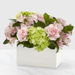 Pink flowers and green hydrangeas in a white box
