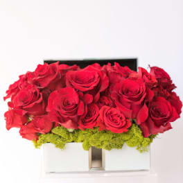 Red roses arranged in a white box with green moss