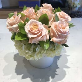 Peach roses arranged in a white vase with white hydrangeas