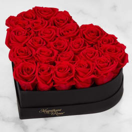 Heart-shaped box filled with red roses