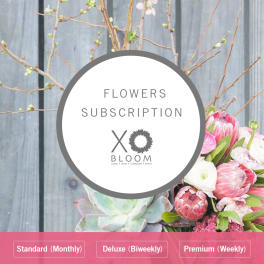 Flowers subscription graphic with pink blooms and a succulent