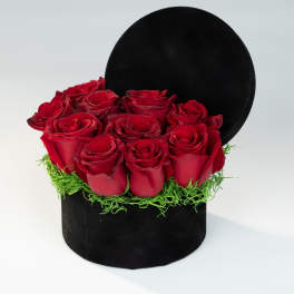 Red roses arranged in a black round box with green filler
